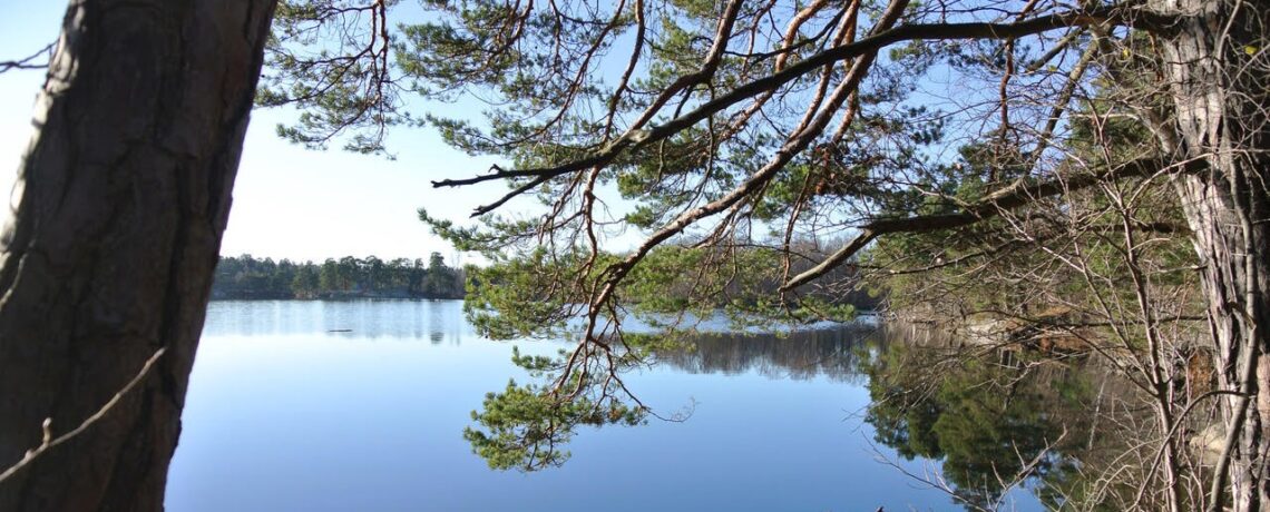 Friska Nacka är i full gång och första utlottningen är gjord!